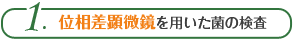 位相差顕微鏡を用いた菌の検査