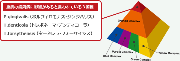 重度の週病に影響があると言われている3菌種